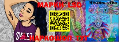 гашик Донской
