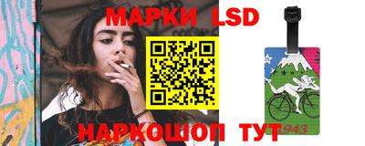 гашик Донской