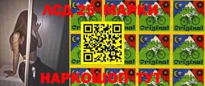 гашик Донской