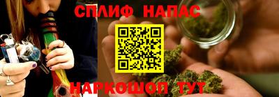 гашик Донской