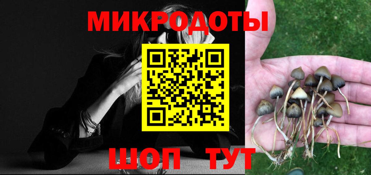 Псилоцибиновые грибы прущие грибы Кашира
