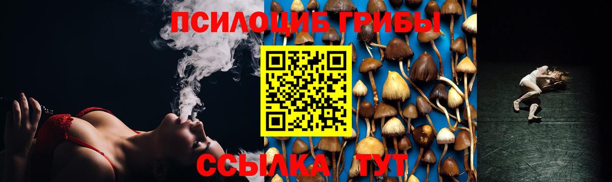 Псилоцибиновые грибы мицелий  Вход с VPN  Кашира 